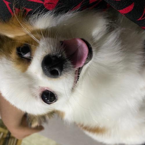 สมาชิกหมายเลข 4014500