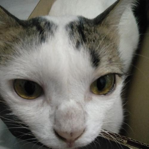 สมาชิกหมายเลข 5543238