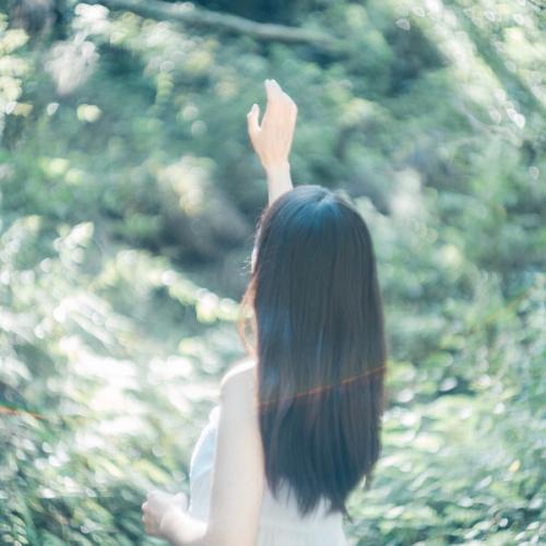 สมาชิกหมายเลข 4588219