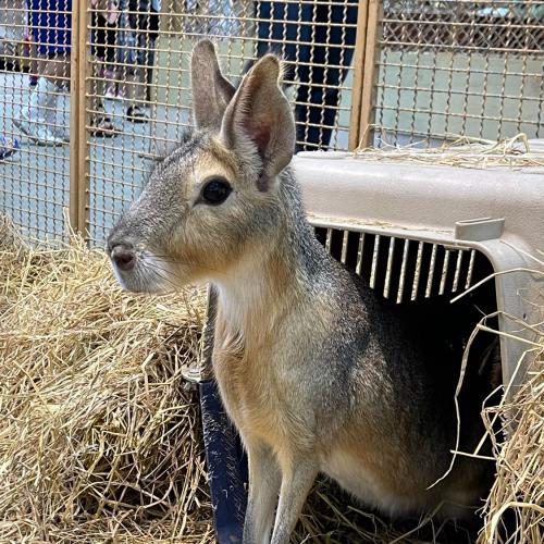 สมาชิกหมายเลข 5850316