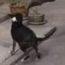 สมาชิกหมายเลข 3873896