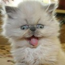 สมาชิกหมายเลข 3873910