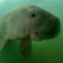 สมาชิกหมายเลข 5077625