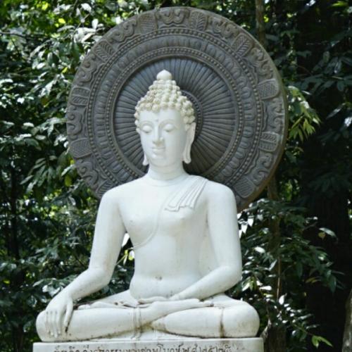 สมาชิกหมายเลข 2522663