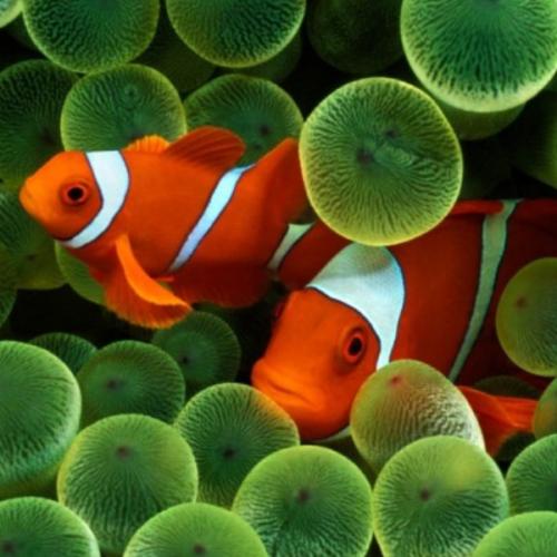 สมาชิกหมายเลข 5448253