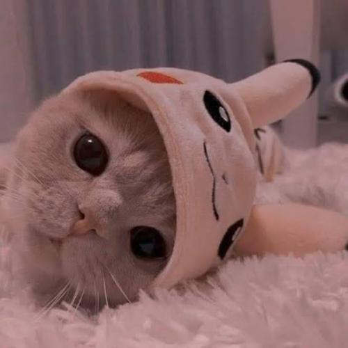 สมาชิกหมายเลข 6614260