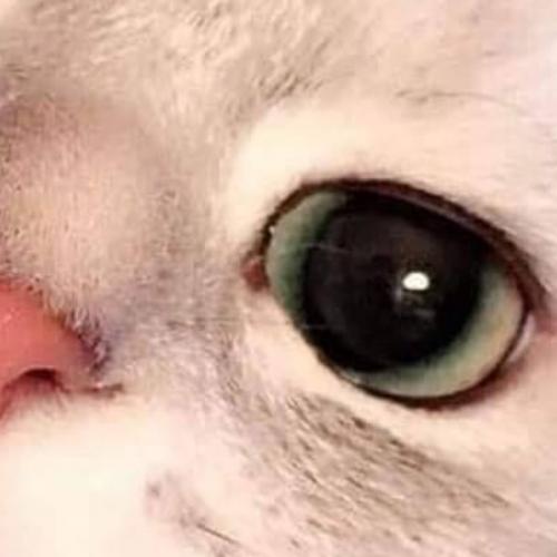 สมาชิกหมายเลข 851198