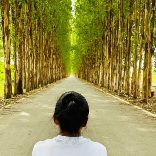 สมาชิกหมายเลข 2627461