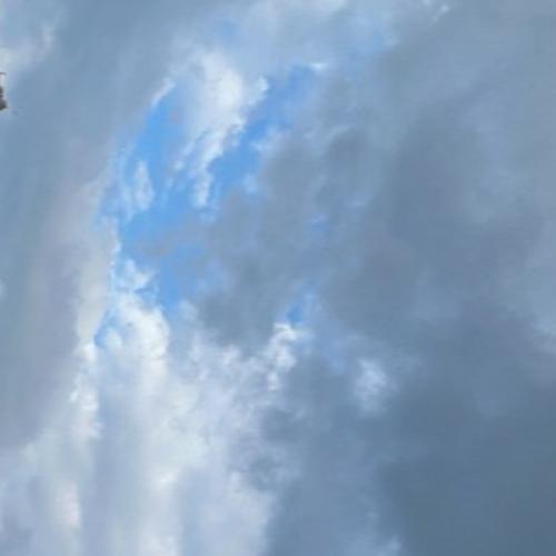 สมาชิกหมายเลข 1124256