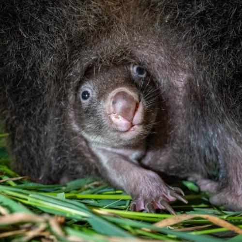 สมาชิกหมายเลข 1707099