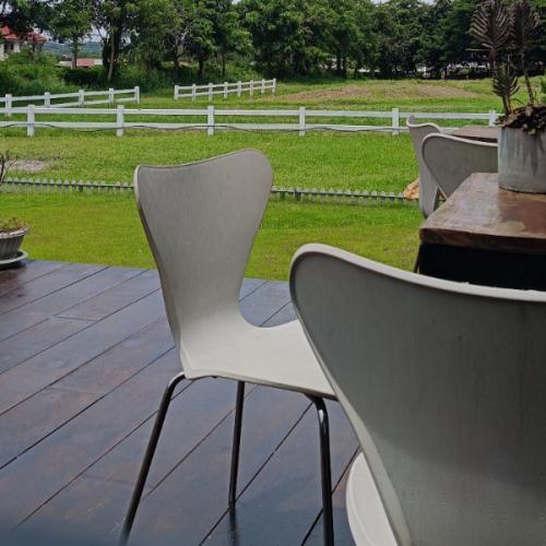 สมาชิกหมายเลข 5310216