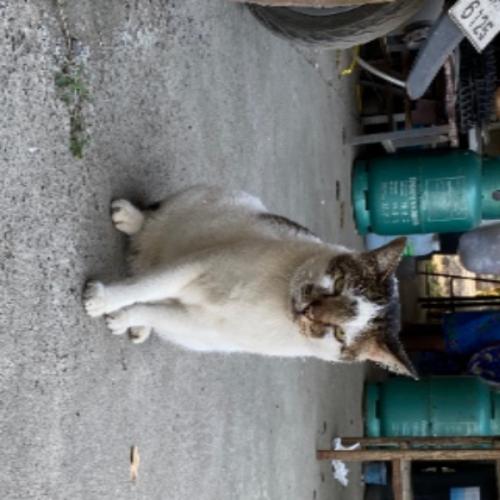 สมาชิกหมายเลข 6503391