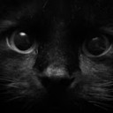 สมาชิกหมายเลข 4342613