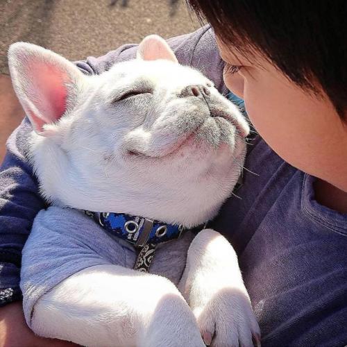 สมาชิกหมายเลข 4709722