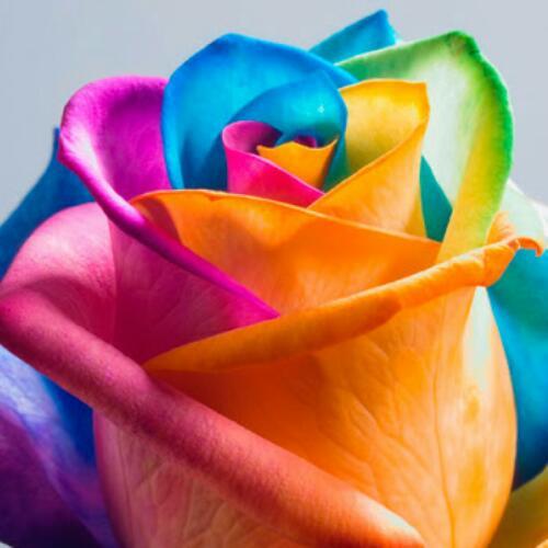 สมาชิกหมายเลข 4710968