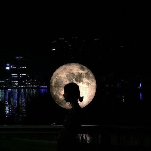 สมาชิกหมายเลข 5080923