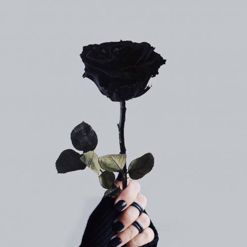 สมาชิกหมายเลข 5081117