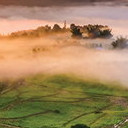 สมาชิกหมายเลข 5474172