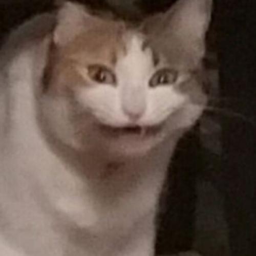 สมาชิกหมายเลข 5058682