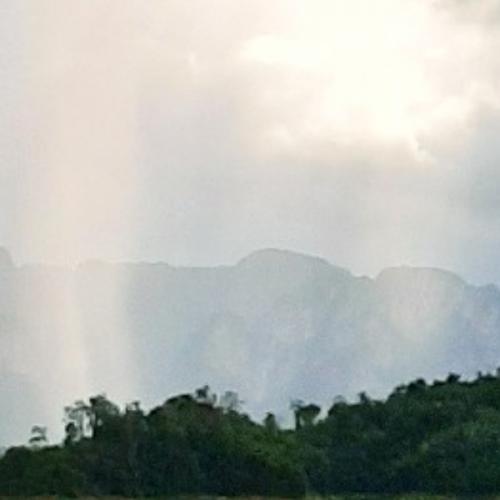 สมาชิกหมายเลข 5769012