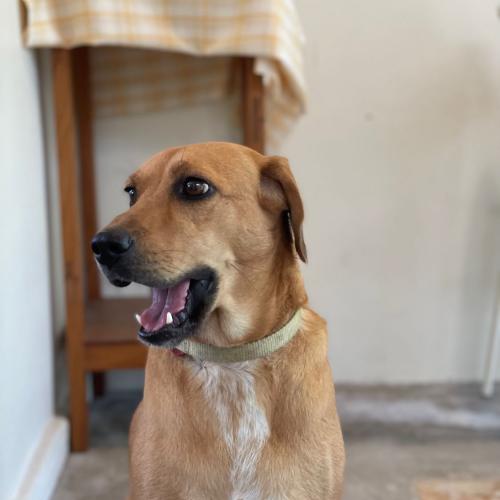 สมาชิกหมายเลข 5628298