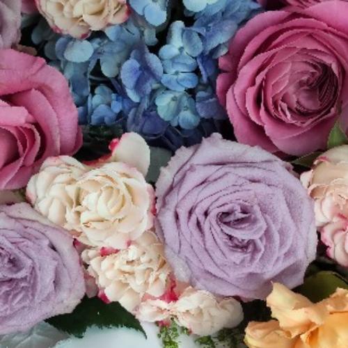 สมาชิกหมายเลข 5171449