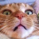 สมาชิกหมายเลข 3872060