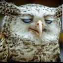 สมาชิกหมายเลข 3663663