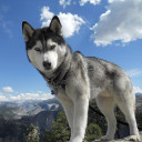 สมาชิกหมายเลข 4315654