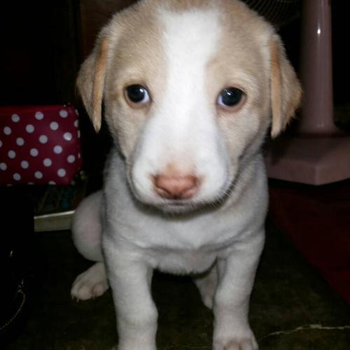 สมาชิกหมายเลข 4711627