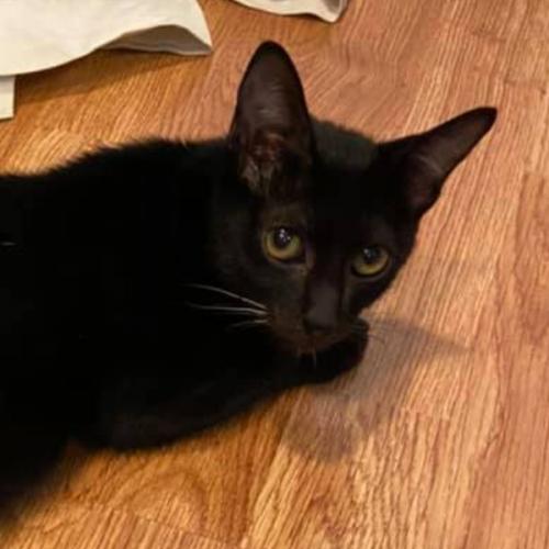 สมาชิกหมายเลข 2265405