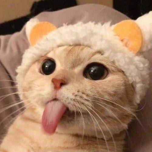 สมาชิกหมายเลข 4632264