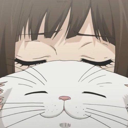 สมาชิกหมายเลข 6615511