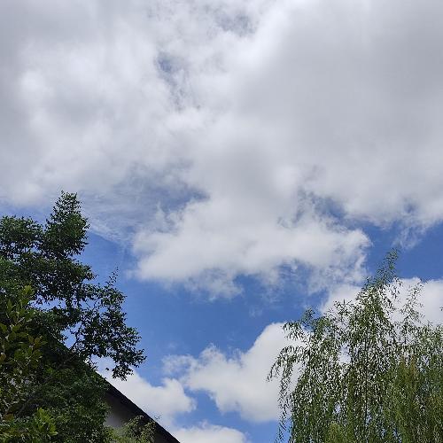 สมาชิกหมายเลข 6615804