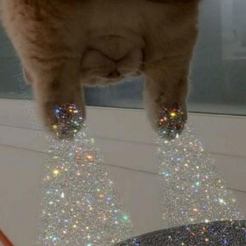 สมาชิกหมายเลข 6615999