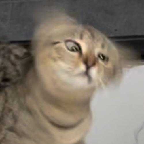 สมาชิกหมายเลข 7170891