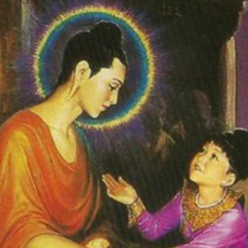 สมาชิกหมายเลข 7237377