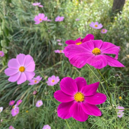 สมาชิกหมายเลข 9224070