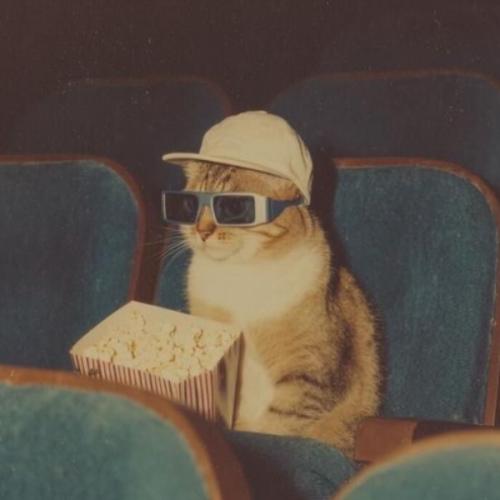 สมาชิกหมายเลข 9232353