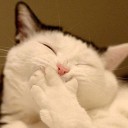 สมาชิกหมายเลข 1423466