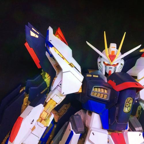 สมาชิกหมายเลข 4559429