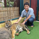 สมาชิกหมายเลข 4711828