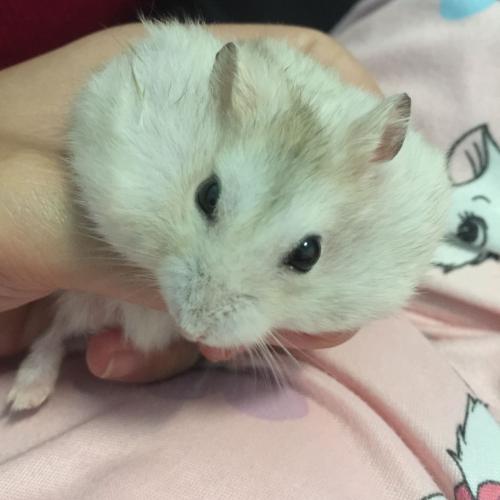 สมาชิกหมายเลข 5082247