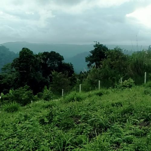 สมาชิกหมายเลข 5474925