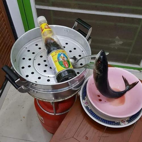 สมาชิกหมายเลข 3057302