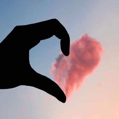 สมาชิกหมายเลข 6003394