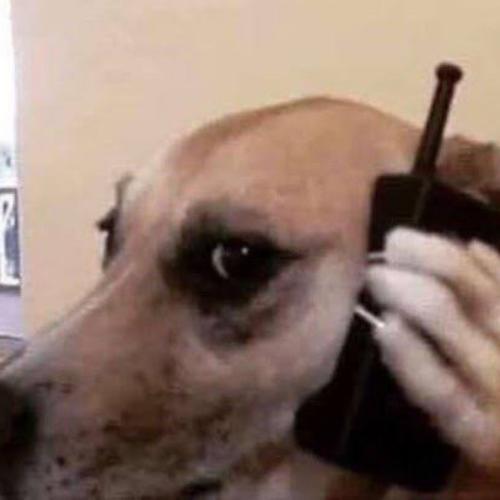 สมาชิกหมายเลข 7356251