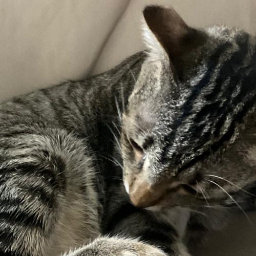 สมาชิกหมายเลข 5220172