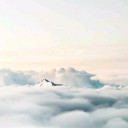 สมาชิกหมายเลข 4344138