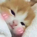 สมาชิกหมายเลข 3266918